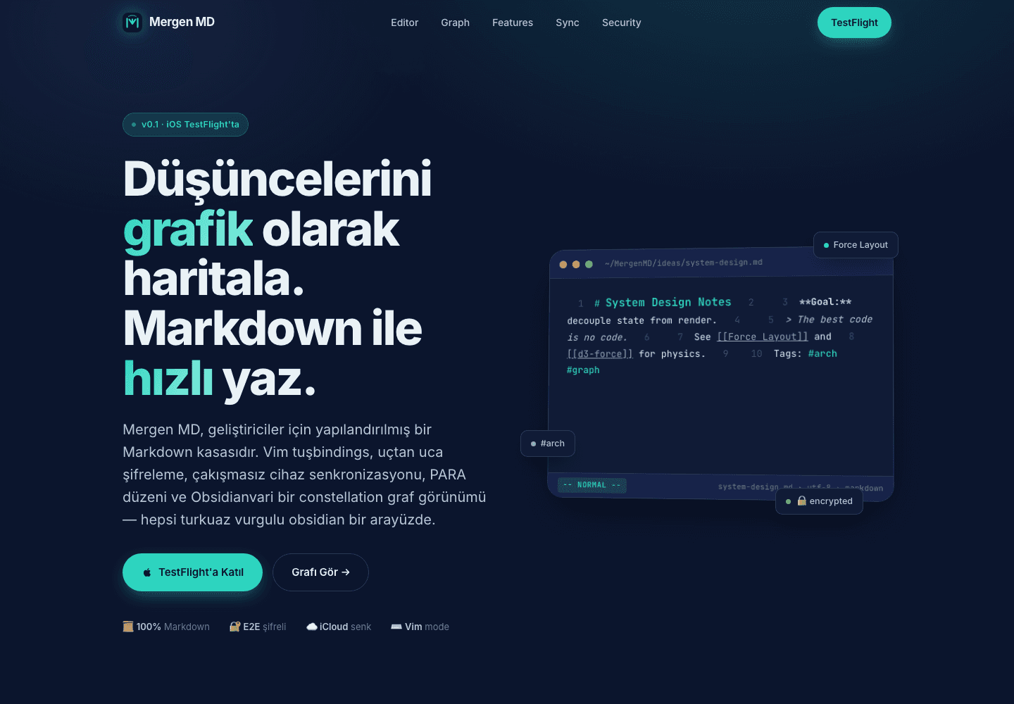 Mergen MD project preview